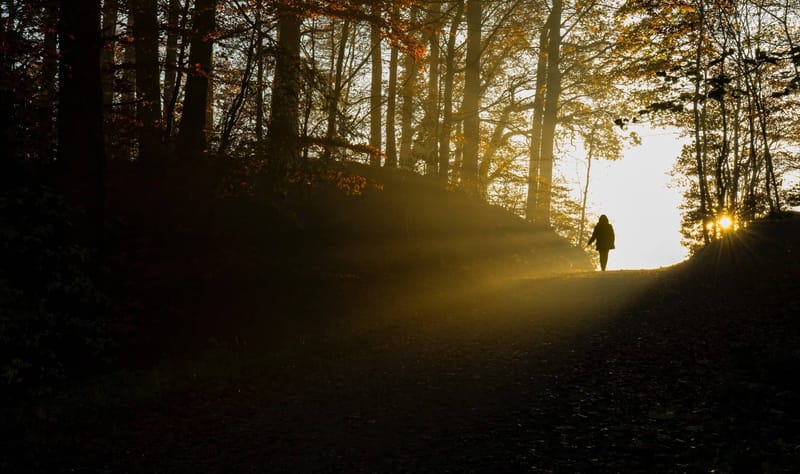 All The Way: A Lesson In God’s Faithfulness