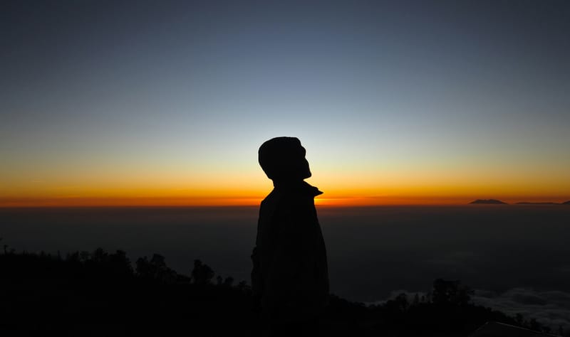 Does Sin Bring Conscious Punishment?