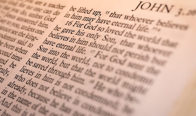 Accepted in the Beloved