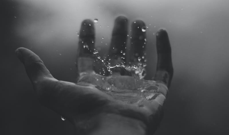 Regeneration