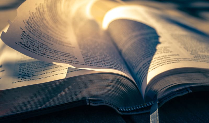 Biblical Truth (1): True or False?