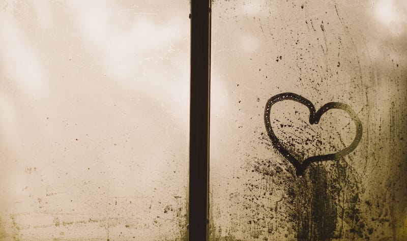 My Human Heart