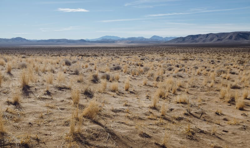 Living The Exodus Story (4): Wandering And Wondering