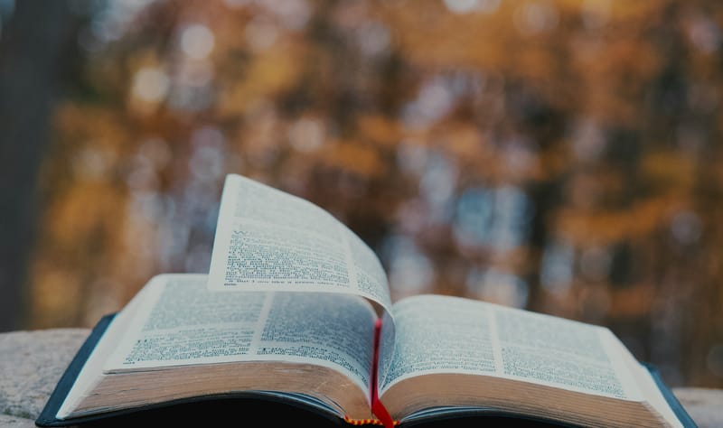 The Nicene Creed (Part 4)