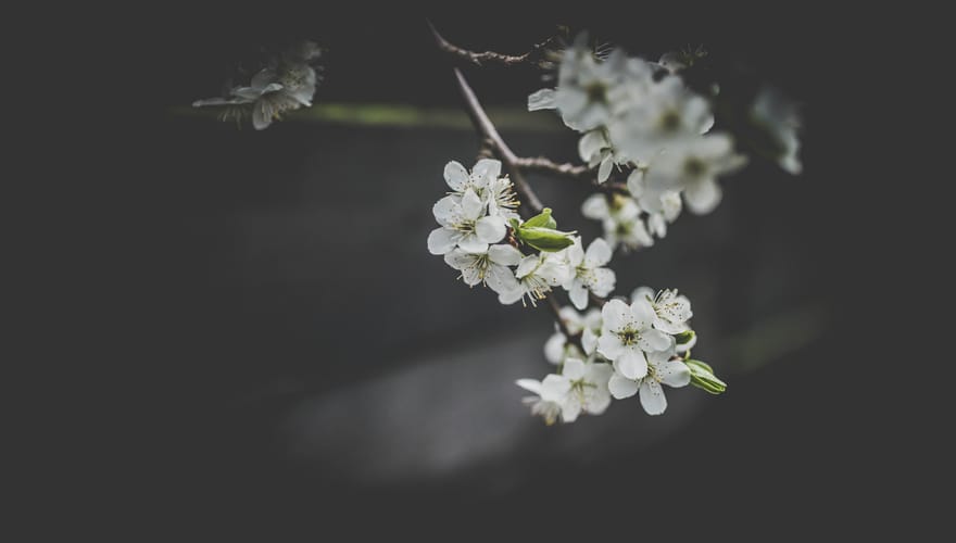 Is There Life After Death?