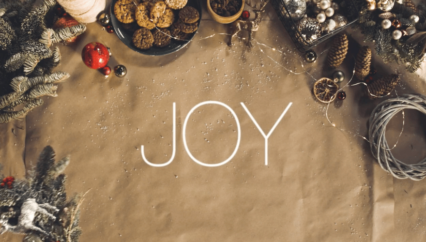 What is Joy?