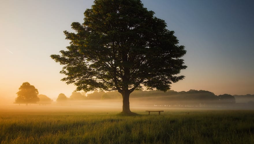 A Call To Rest