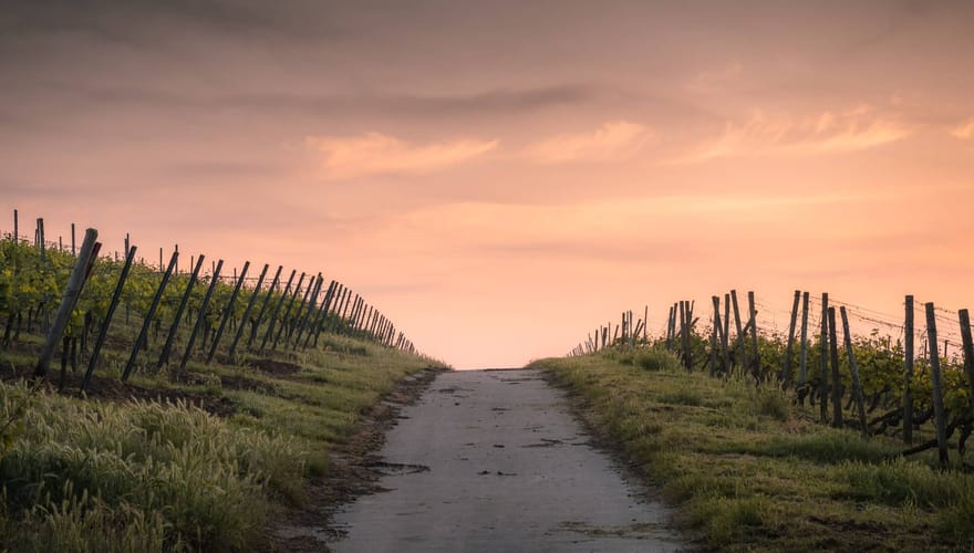 A Roadmap to Christian Living (Psalm 23)