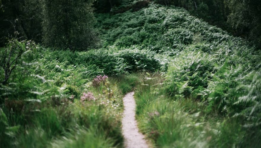 The path of tiny choices