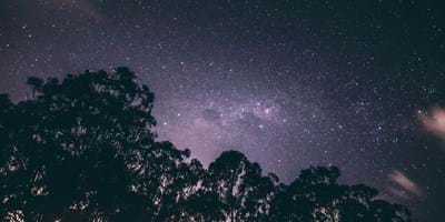 Beauty in Creation