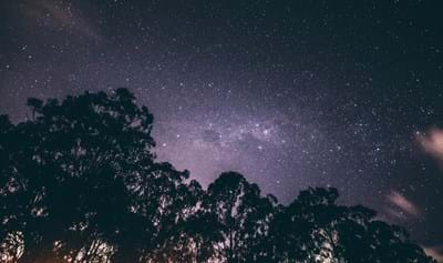 Beauty in Creation