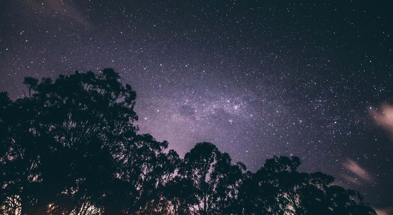 The Pleasure of God in His Creation