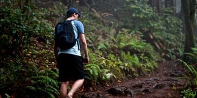 The Beaten Path