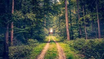 Eternal Life is More Than a ‘Forevermore Life’
