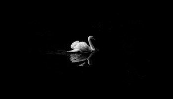 Moses' Swan Song