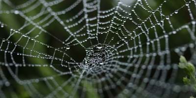 The Deceitfulness of Riches
