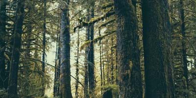 Is God Hiding?