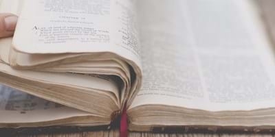 Daily Bible Reading