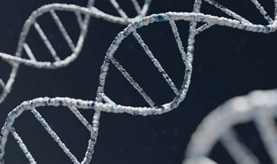 Synthetic DNA: The Path to Paradise? (and woolly mammoths)
