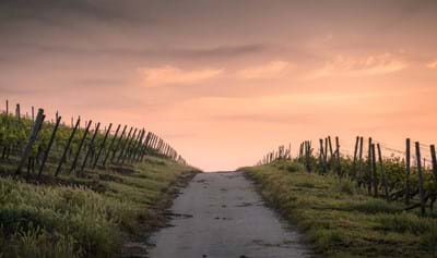 A Roadmap to Christian Living (Psalm 23)