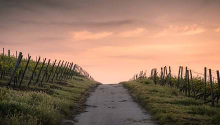 A Roadmap to Christian Living (Psalm 23)