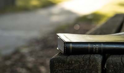 The Different Written Genres of Scripture (1)