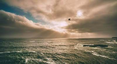 The Holy Spirit: The Sanctification of the Holy Spirit