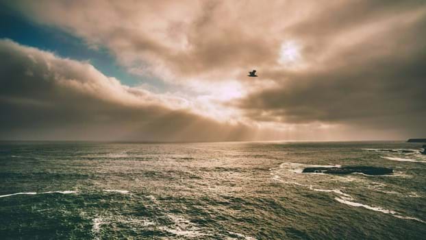 The Holy Spirit: The Sanctification of the Holy Spirit