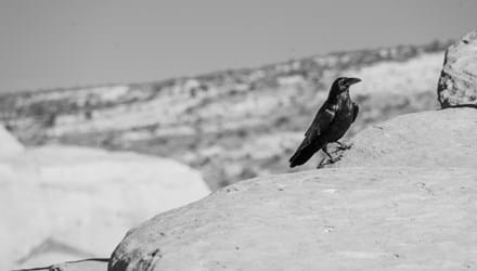 Ready for a King (4) - God's Response to Rejection