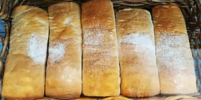 Show Us A Sign, John – The Bread That Truly Satisfies