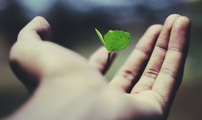 For Me To Live Is _____________?