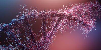 Why Believe In God (3)? DNA Is Proof Of An Almighty Engineer