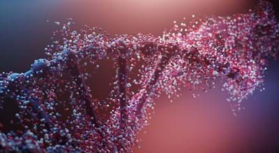 Why Believe In God (3)? DNA Is Proof Of An Almighty Engineer