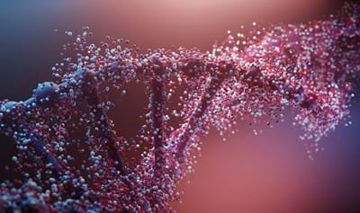 Why Believe In God (3)? DNA Is Proof Of An Almighty Engineer