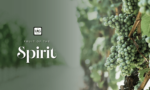 Fruit Of The Spirit Branding 02