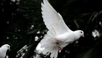 Salvation Truths (2) – Quickened by the Holy Spirit