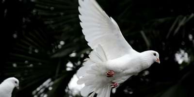 Salvation Truths (2) – Quickened by the Holy Spirit