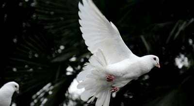 Salvation Truths (2) – Quickened by the Holy Spirit