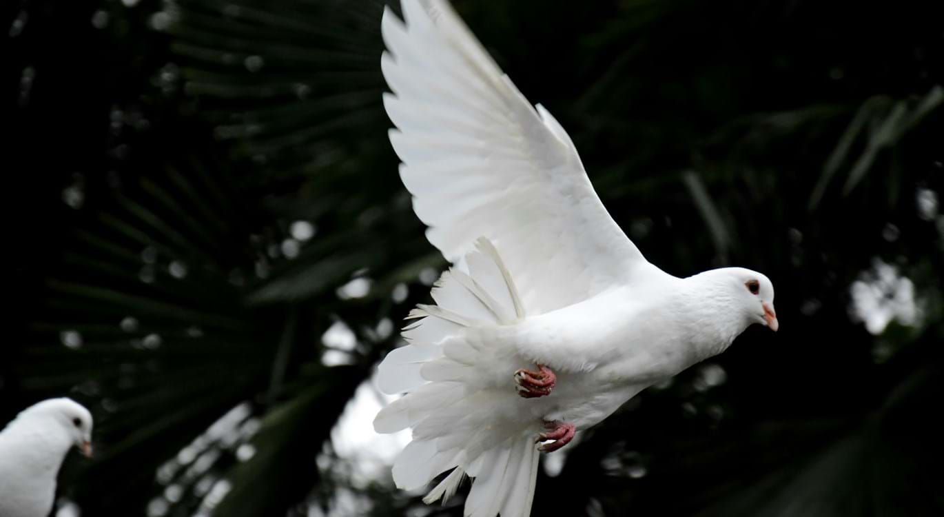 Salvation Truths (2) – Quickened by the Holy Spirit