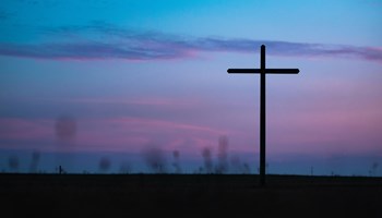Salvation Truths (3) - Redeemed by the Lamb