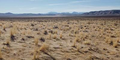 Living The Exodus Story (4): Wandering And Wondering