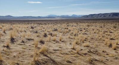 Living The Exodus Story (4): Wandering And Wondering