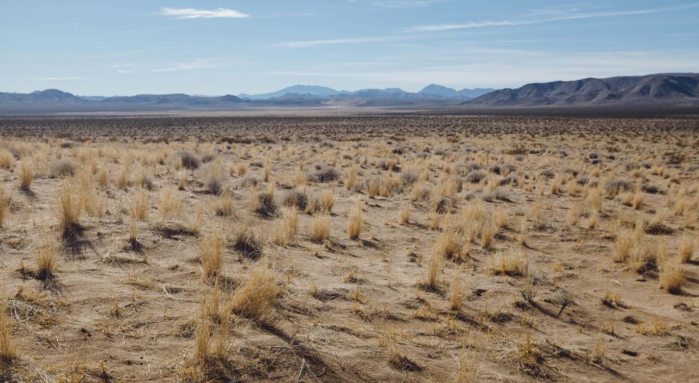 Living The Exodus Story (4): Wandering And Wondering