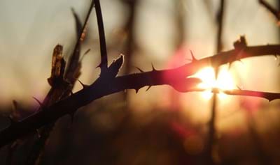 Why A Good God Allows Suffering, And Why I Am Thankful For It