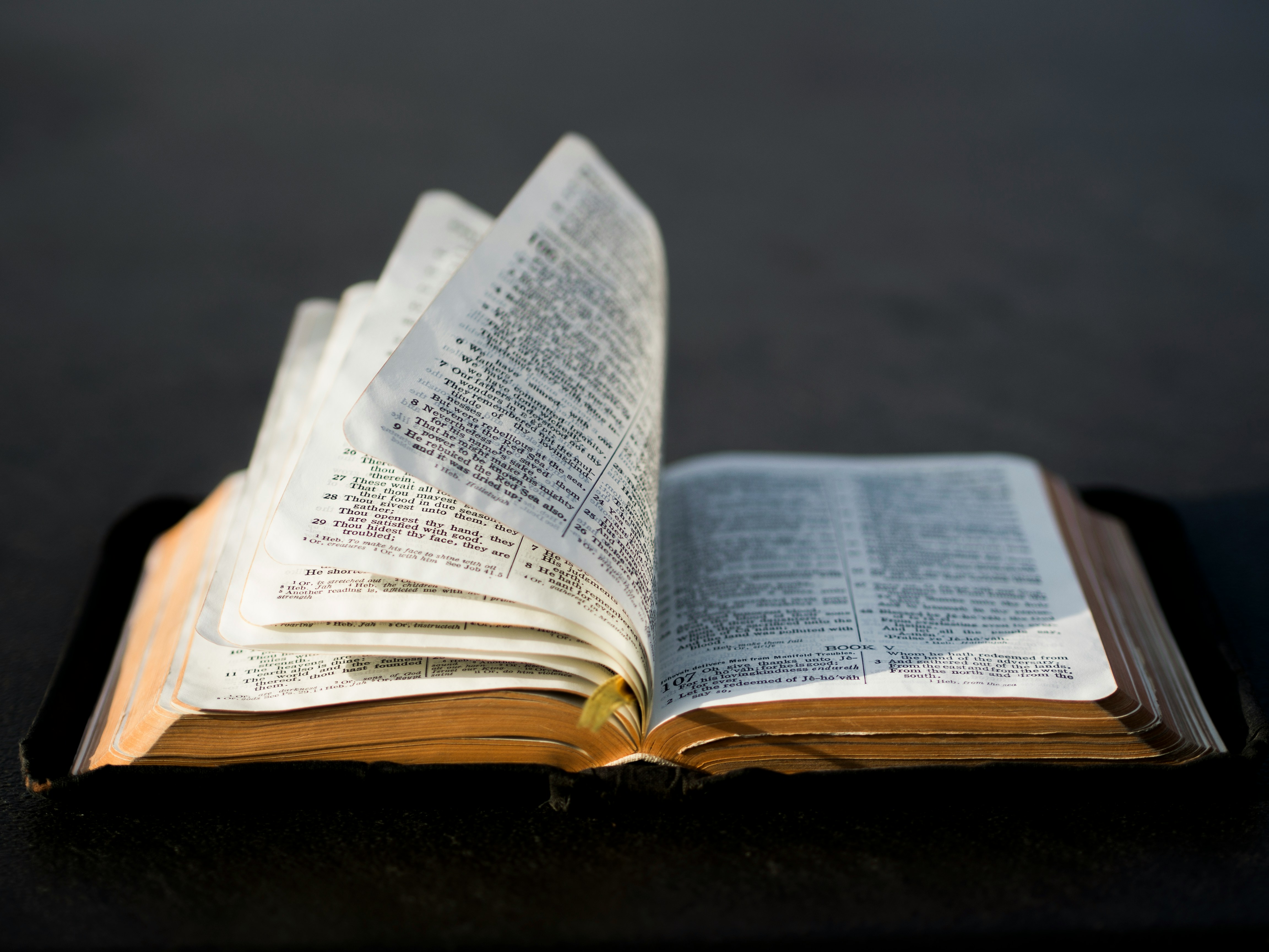 Salvation Truths (6) – Sanctification