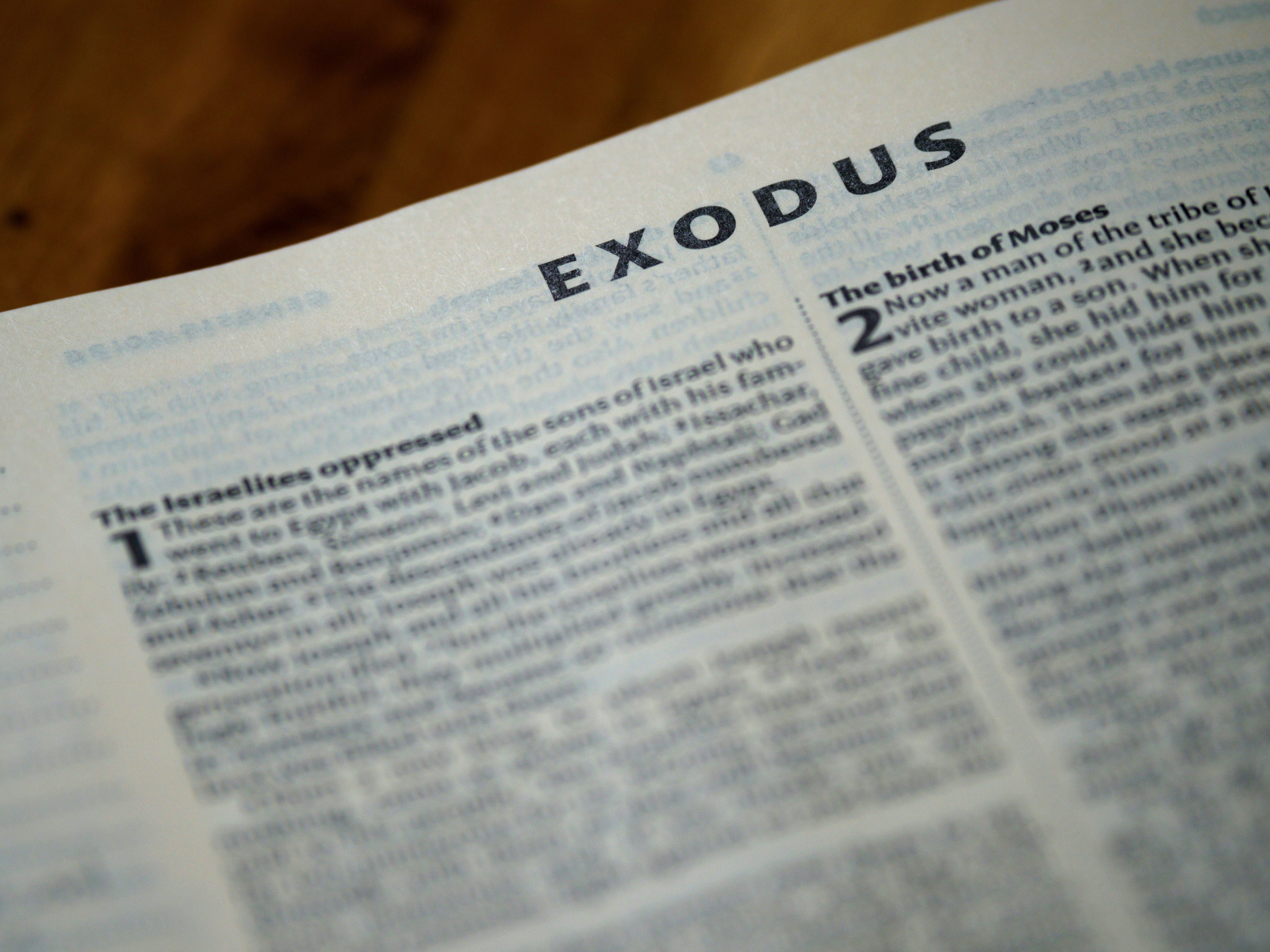 Living the Exodus Story (8): Moses’ Prequel to the Exodus Story