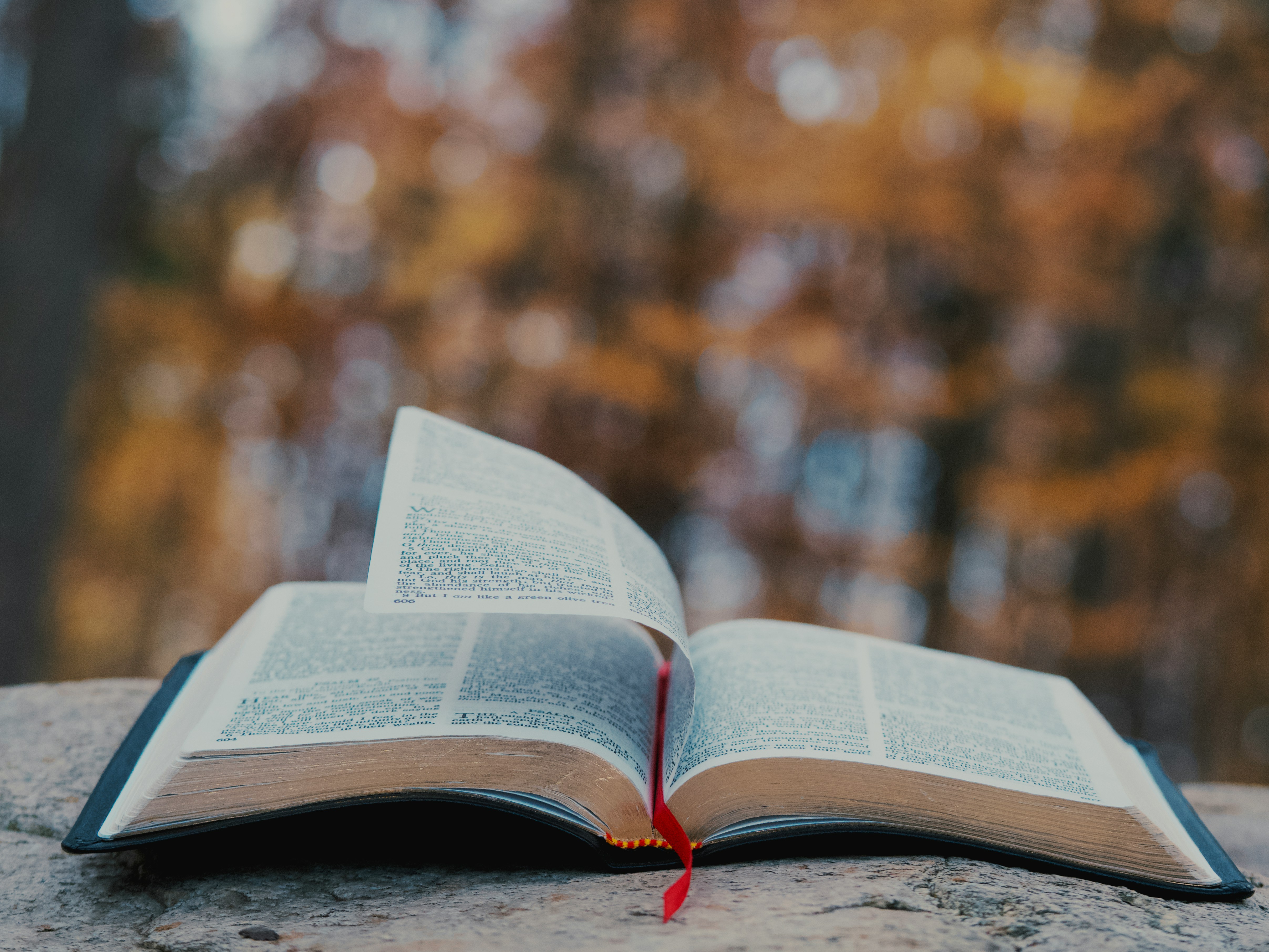 The Nicene Creed (Part 4)